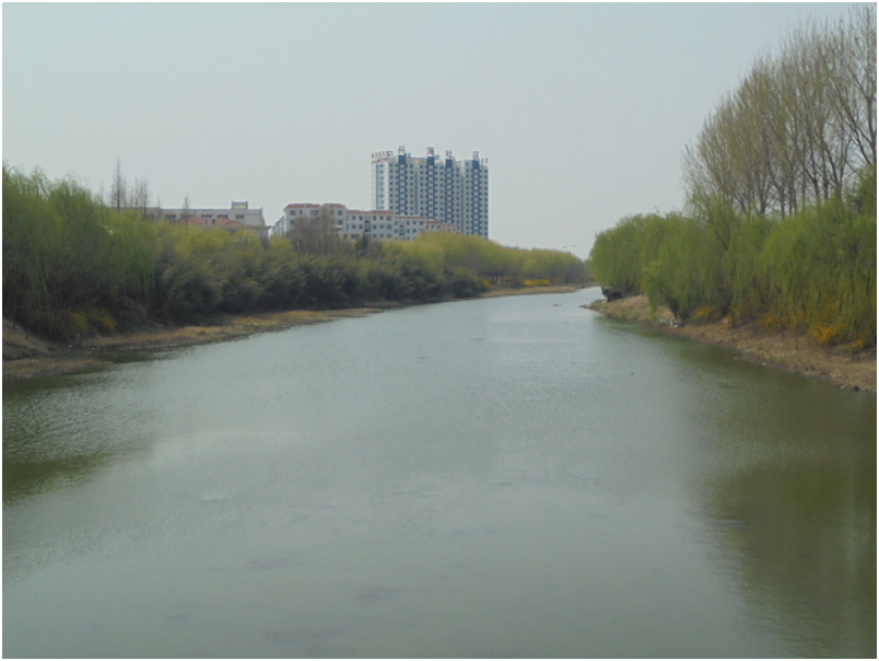 1547453147771688.png 3.png